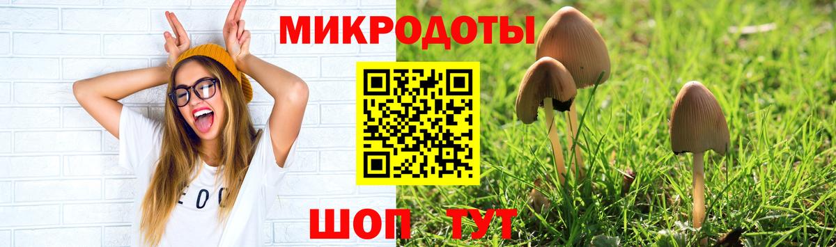 Псилоцибиновые грибы Cubensis  Галлюциногенные грибы Psilocybe  Похвистнево  Вход с VPN 